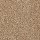 Mohawk Carpet: Renovate III 15 Toffee Cream